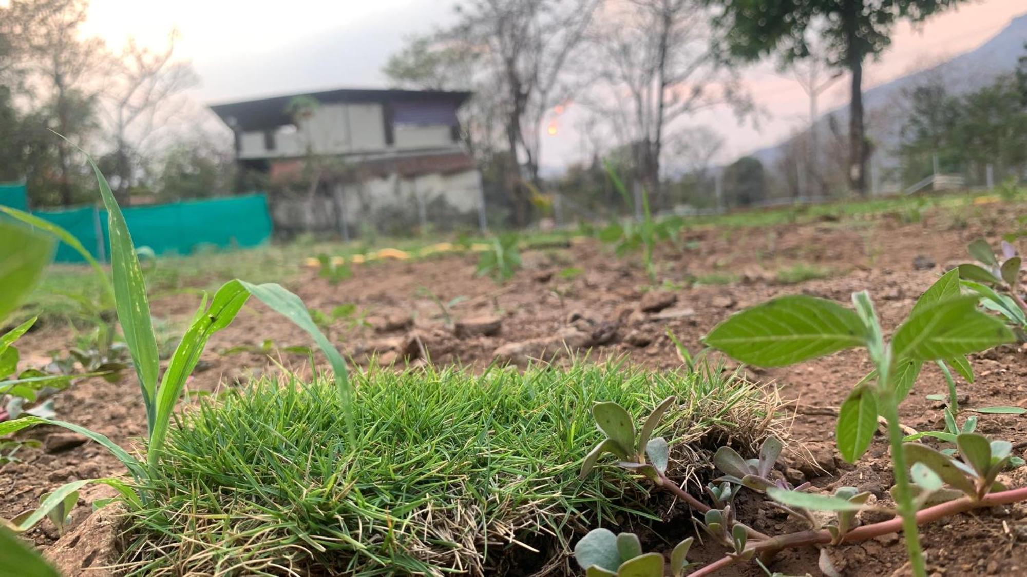 Gokul Agro Camping Wai Villa Panchgani Esterno foto